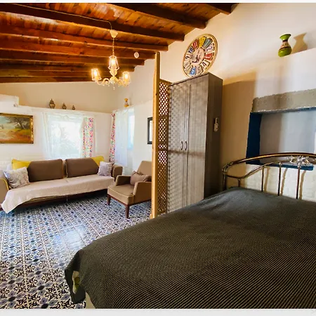 Badehan Lejlighedshotel