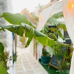 Badehan 公寓式酒店 Çeşme