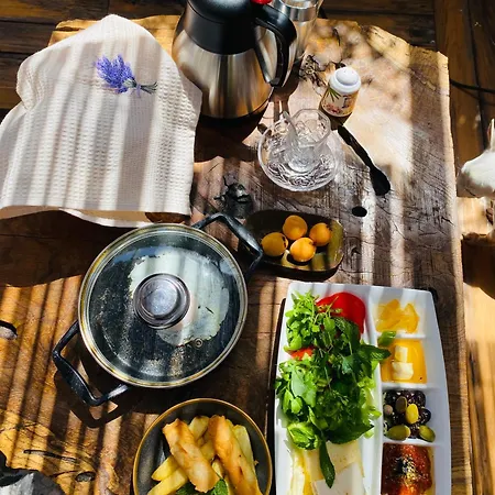 公寓式酒店 Badehan